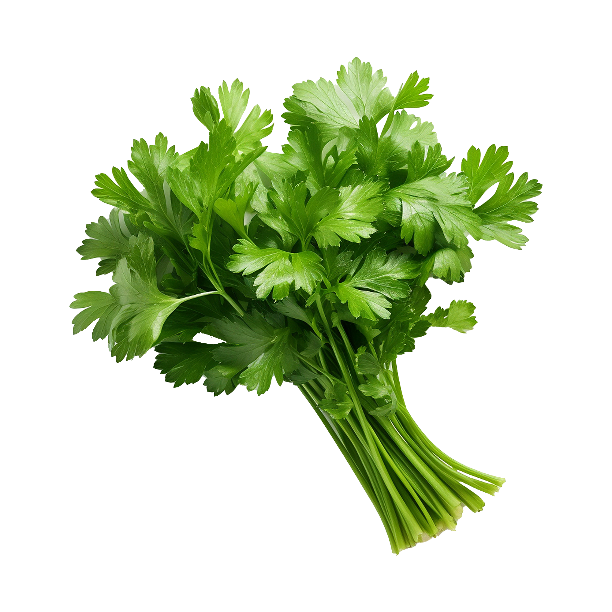 Herbes & Salades | الربيع
