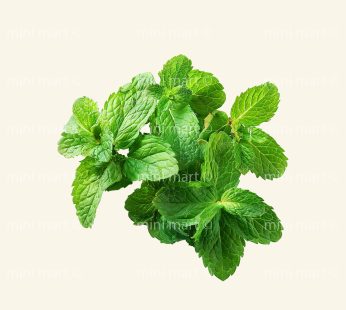 Menthe | النعناع
